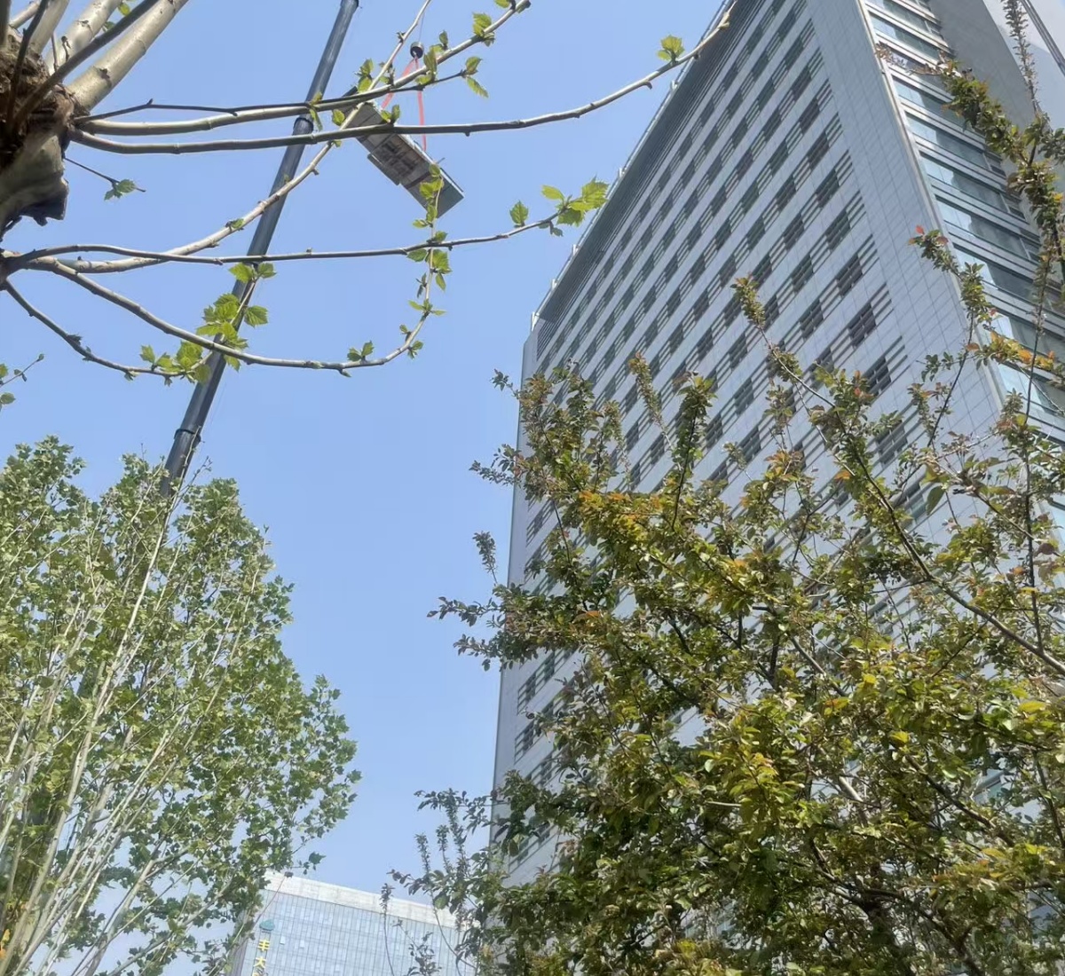 مبنى بودا في بكين